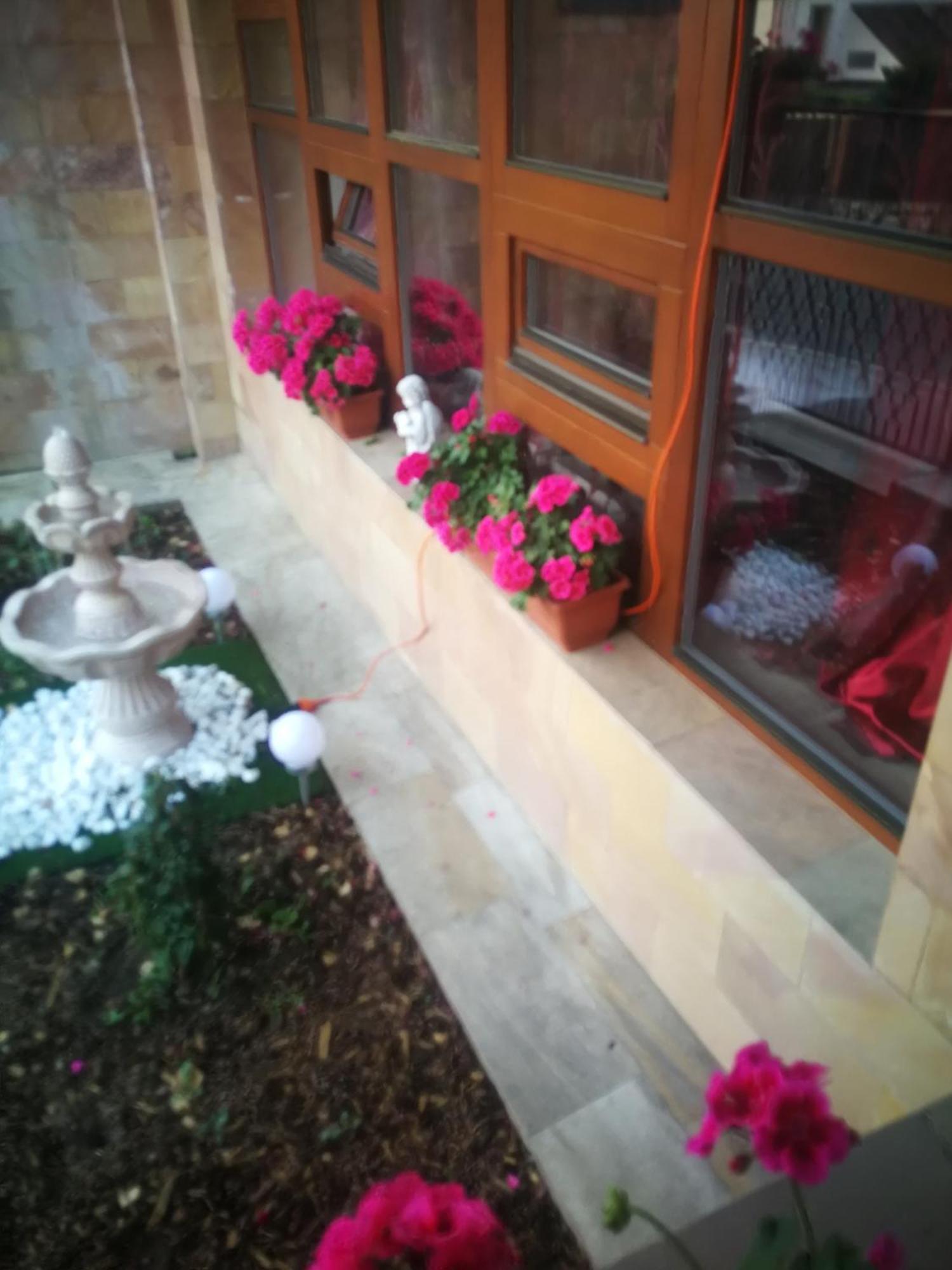 Vila Barrandovska Patro 2 Prague Ngoại thất bức ảnh